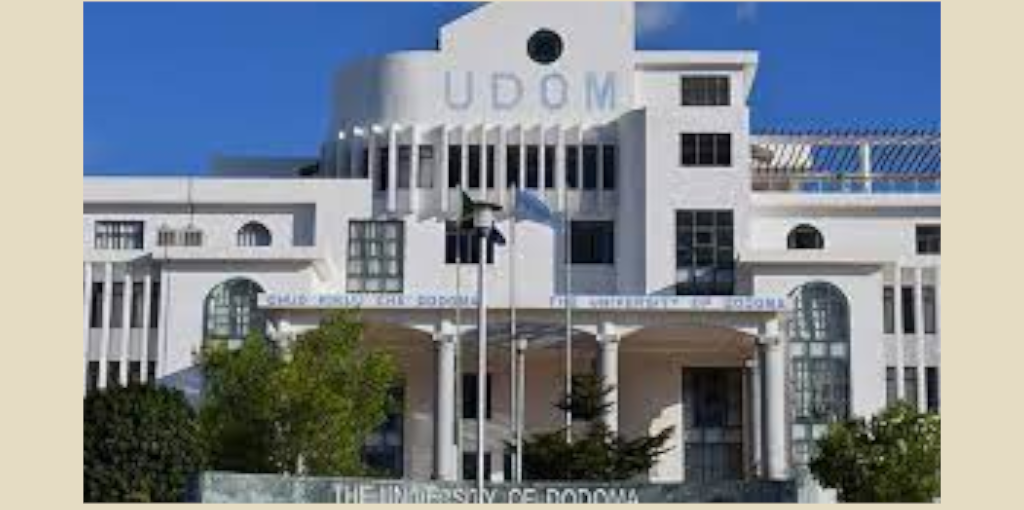 Installation of ICT network Academic block II Dodoma